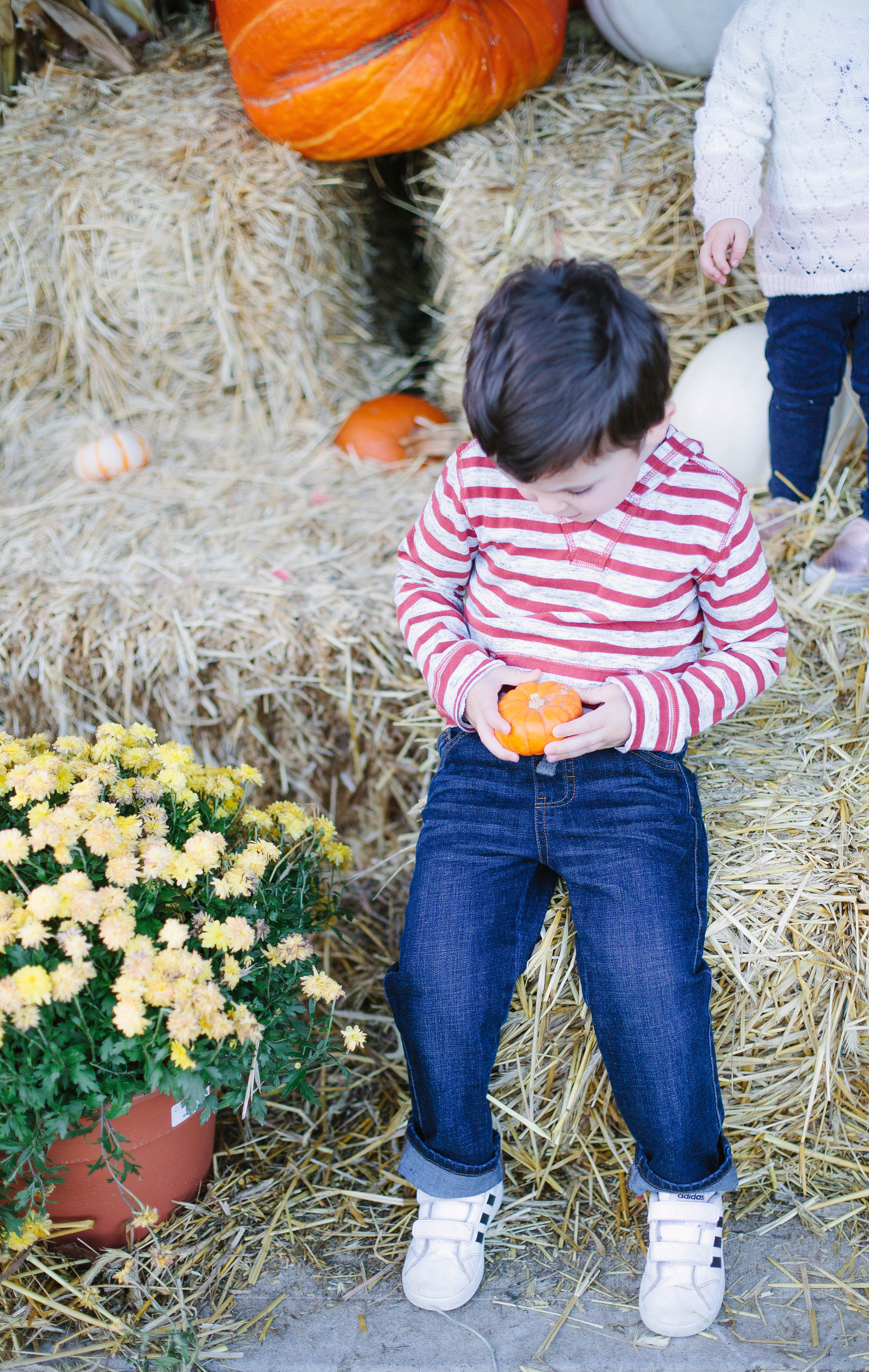 Toddler Boy Fall Capsule Wardrobe - Lauren McBride